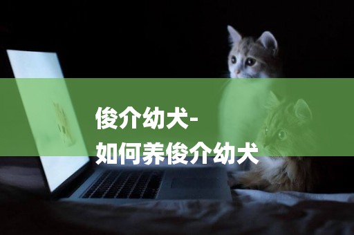 俊介幼犬-
如何養俊介幼犬