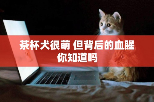 茶杯犬很萌 但背后的血腥你知道嗎