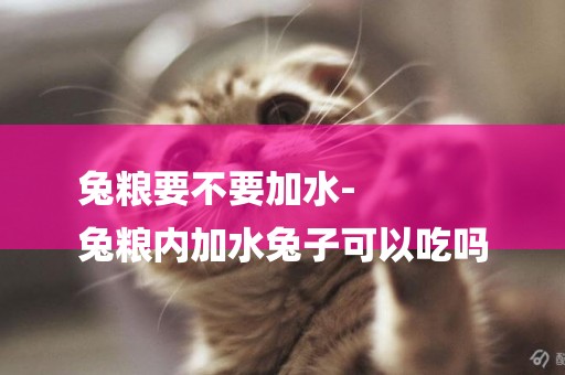 兔糧要不要加水-
兔糧內加水兔子可以吃嗎