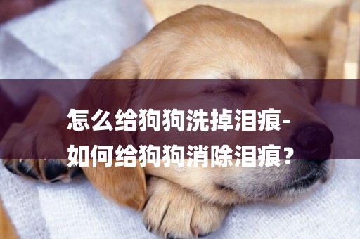 怎么給狗狗洗掉淚痕-
如何給狗狗消除淚痕？