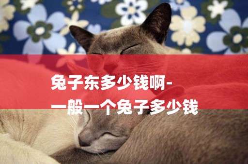 兔子東多少錢啊-
一般一個兔子多少錢