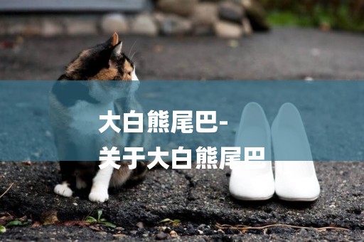 大白熊尾巴-
關于大白熊尾巴