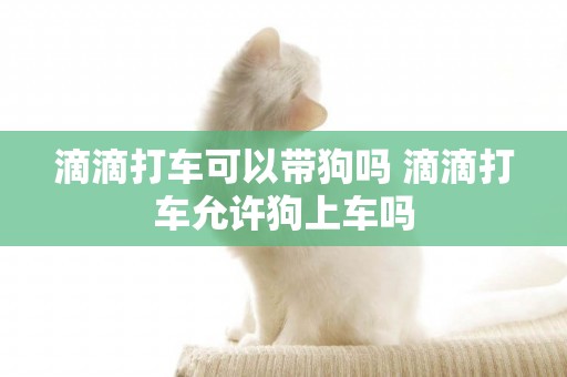 滴滴打車可以帶狗嗎 滴滴打車允許狗上車嗎