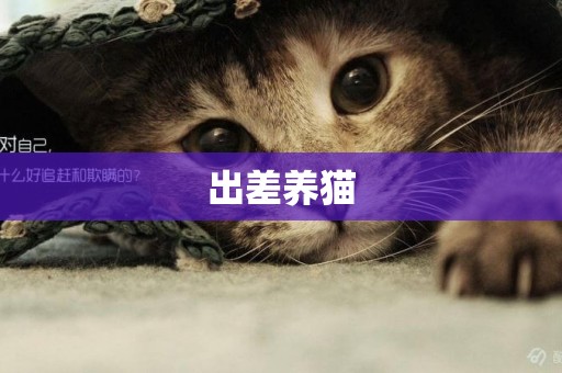 出差養貓