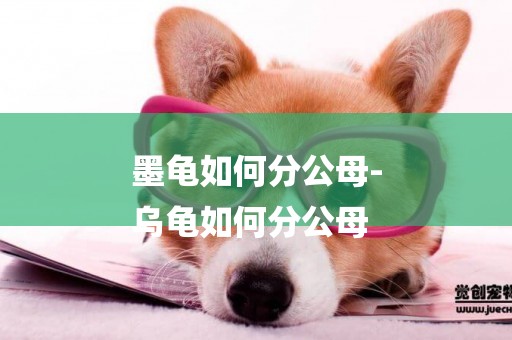 墨龜如何分公母-
烏龜如何分公母