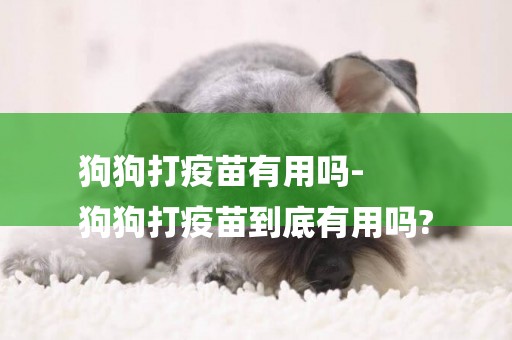 狗狗打疫苗有用嗎-
狗狗打疫苗到底有用嗎?