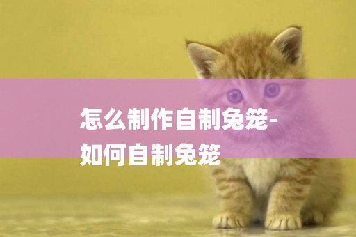 怎么制作自制兔籠-
如何自制兔籠