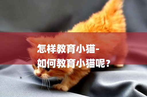 怎樣教育小貓-
如何教育小貓呢？