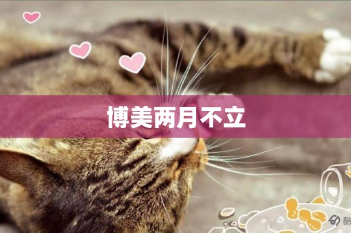 博美兩月不立