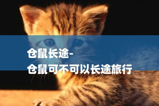 倉鼠長途-
倉鼠可不可以長途旅行