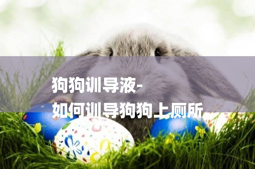 狗狗訓導液-
如何訓導狗狗上廁所