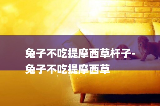 兔子不吃提摩西草桿子-
兔子不吃提摩西草