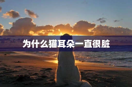 為什么貓耳朵一直很臟