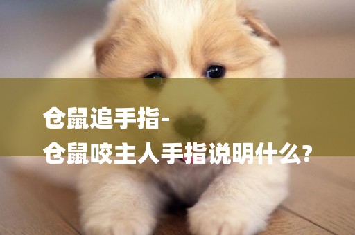 倉鼠追手指-
倉鼠咬主人手指說明什么?
