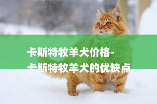 卡斯特牧羊犬價格-
卡斯特牧羊犬的優缺點