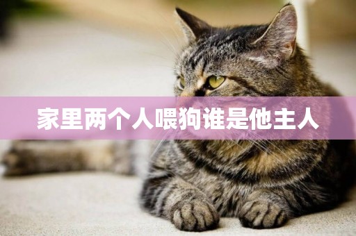 家里兩個人喂狗誰是他主人