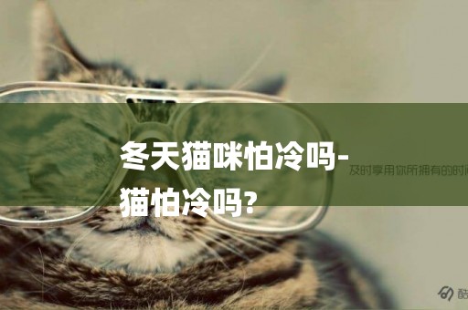冬天貓咪怕冷嗎-
貓怕冷嗎?