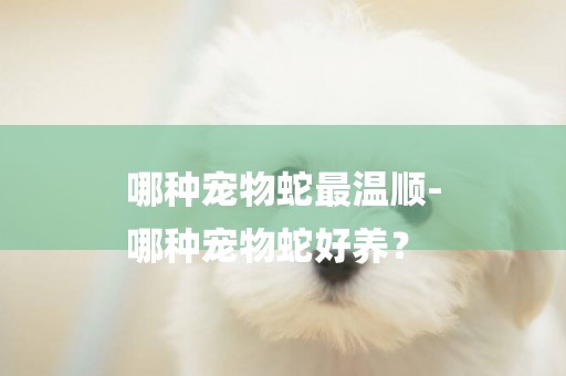 哪種寵物蛇最溫順-
哪種寵物蛇好養？