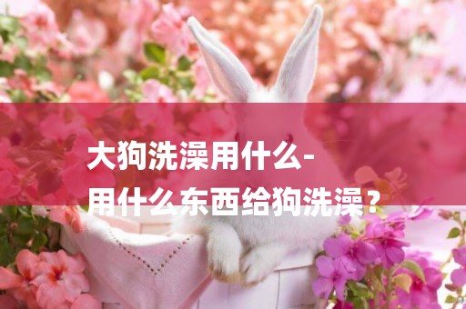 大狗洗澡用什么-
用什么東西給狗洗澡？