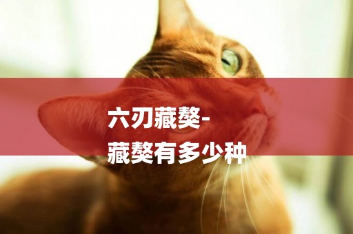 六刃藏獒-
藏獒有多少種