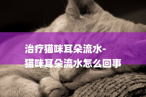 治療貓咪耳朵流水-
貓咪耳朵流水怎么回事