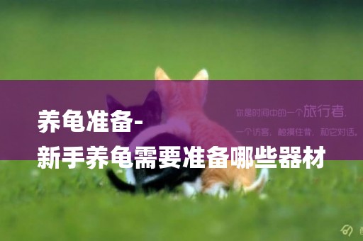 養龜準備-
新手養龜需要準備哪些器材