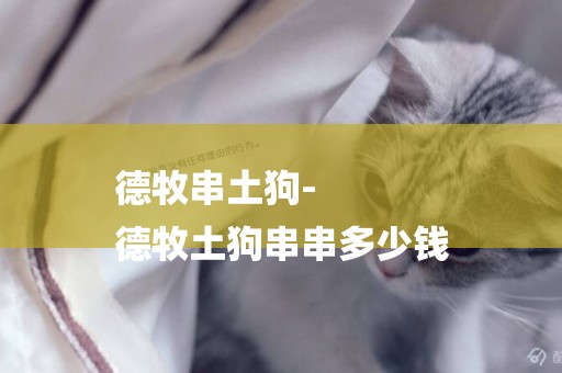 德牧串土狗-
德牧土狗串串多少錢