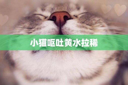 小貓嘔吐黃水拉稀