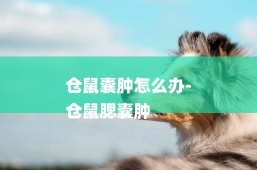 倉鼠囊腫怎么辦-
倉鼠腮囊腫