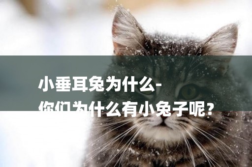 小垂耳兔為什么-
你們為什么有小兔子呢？