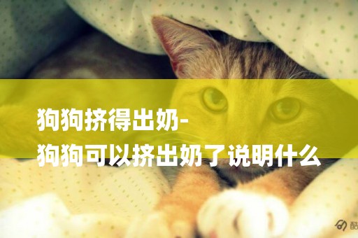 狗狗擠得出奶-
狗狗可以擠出奶了說明什么