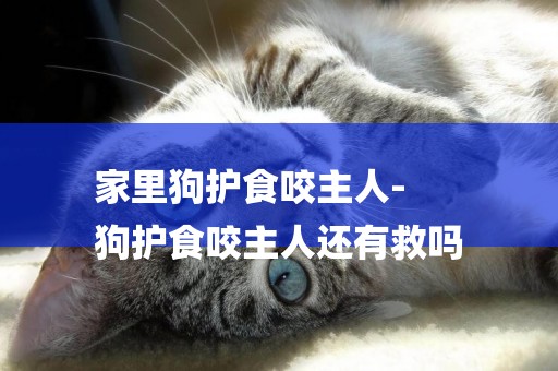 家里狗護食咬主人-
狗護食咬主人還有救嗎