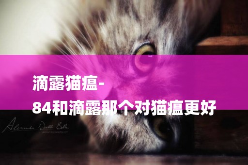 滴露貓瘟-
84和滴露那個對貓瘟更好