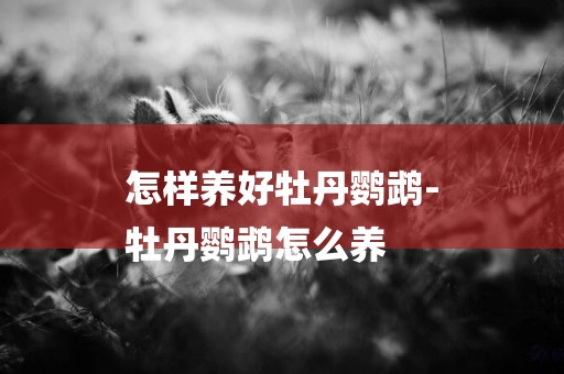 怎樣養好牡丹鸚鵡-
牡丹鸚鵡怎么養