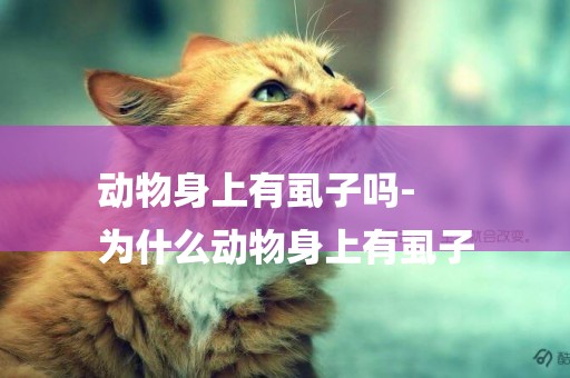 動物身上有虱子嗎-
為什么動物身上有虱子