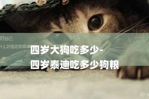 四歲大狗吃多少-
四歲泰迪吃多少狗糧