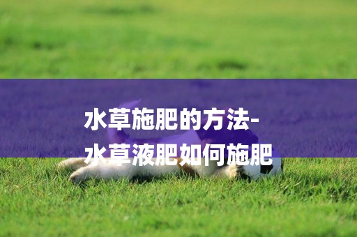 水草施肥的方法-
水草液肥如何施肥