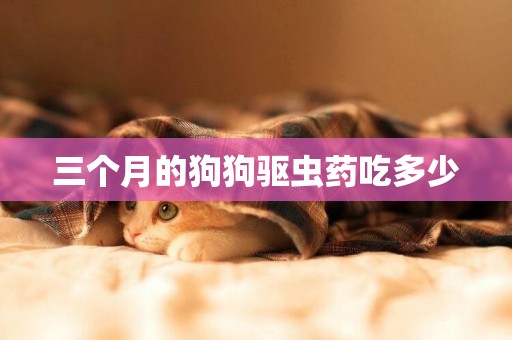 三個月的狗狗驅蟲藥吃多少