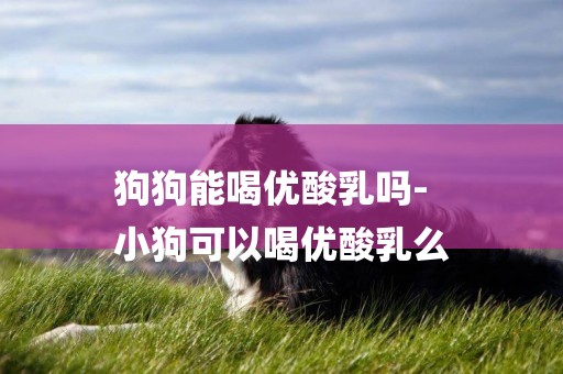 狗狗能喝優酸乳嗎-
小狗可以喝優酸乳么