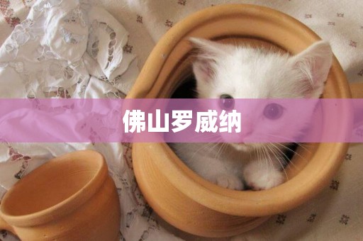 佛山羅威納