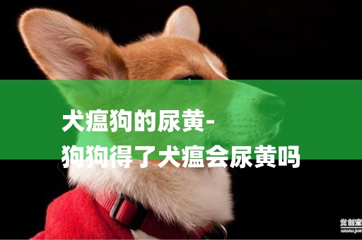犬瘟狗的尿黃-
狗狗得了犬瘟會尿黃嗎