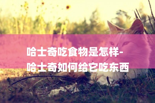 哈士奇吃食物是怎樣-
哈士奇如何給它吃東西