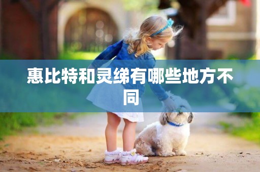 惠比特和靈綈有哪些地方不同