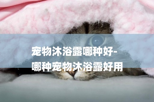 寵物沐浴露哪種好-
哪種寵物沐浴露好用