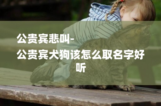 公貴賓悲叫-
公貴賓犬狗該怎么取名字好聽