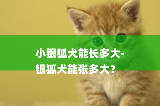 小銀狐犬能長多大-
銀狐犬能張多大？