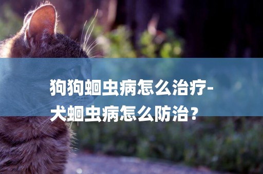 狗狗蛔蟲病怎么治療-
犬蛔蟲病怎么防治？