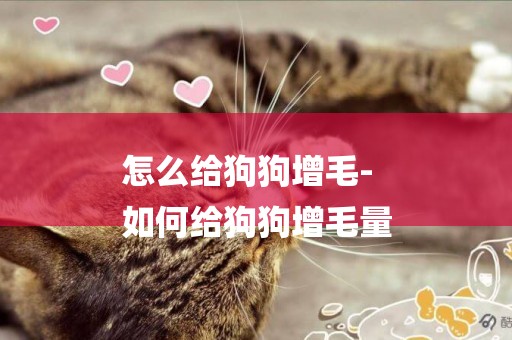 怎么給狗狗增毛-
如何給狗狗增毛量