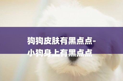狗狗皮膚有黑點點-
小狗身上有黑點點