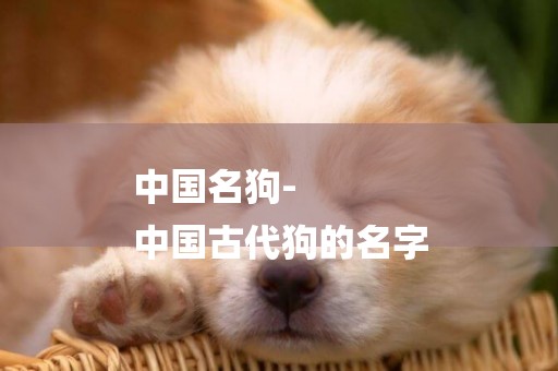 中國名狗-
中國古代狗的名字